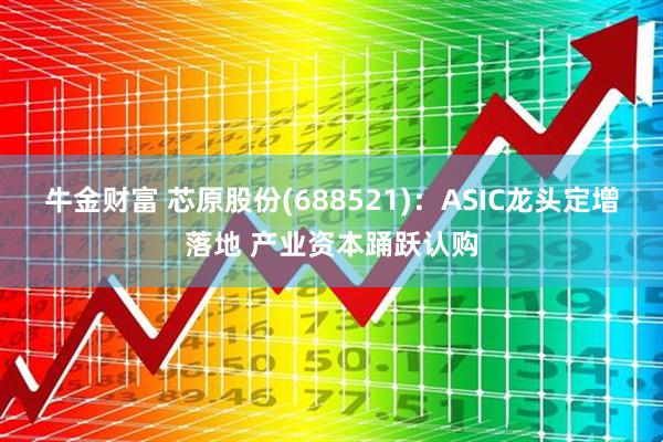 牛金财富 芯原股份(688521)：ASIC龙头定增落地 产业资本踊跃认购