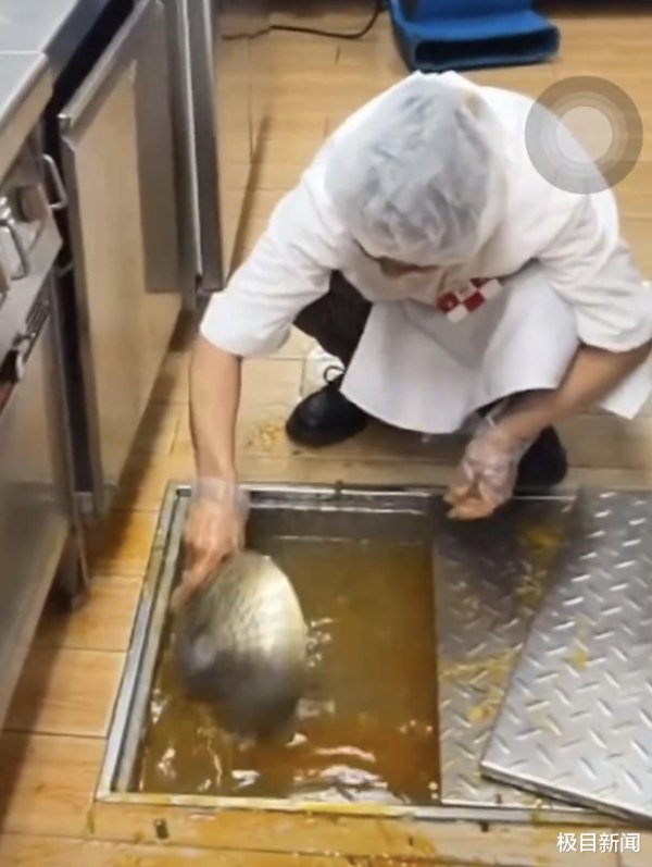 东启网 西贝员工用漏勺疏通厨房下水道引质疑, 客服: 工具选用和操作不规范