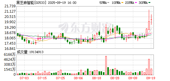 东启网 上半年亏损超7亿 “智驾芯片第一股”黑芝麻智能业绩掉队