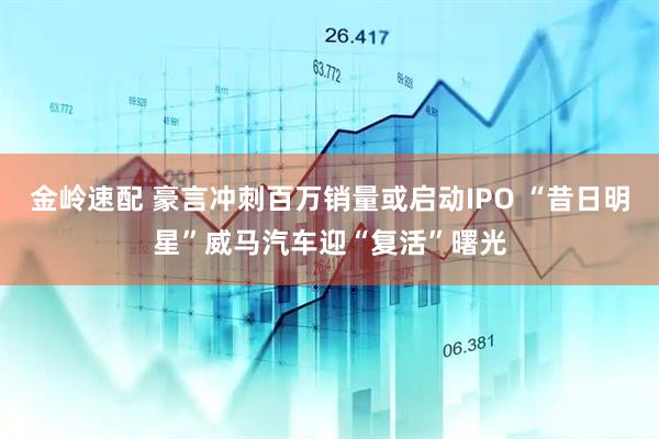 金岭速配 豪言冲刺百万销量或启动IPO “昔日明星”威马汽车迎“复活”曙光