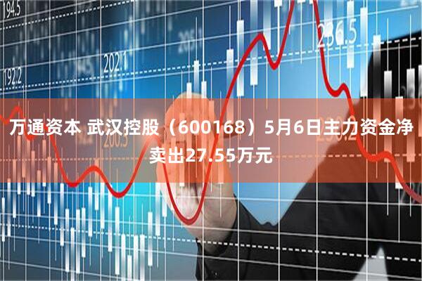 万通资本 武汉控股（600168）5月6日主力资金净卖出27.55万元